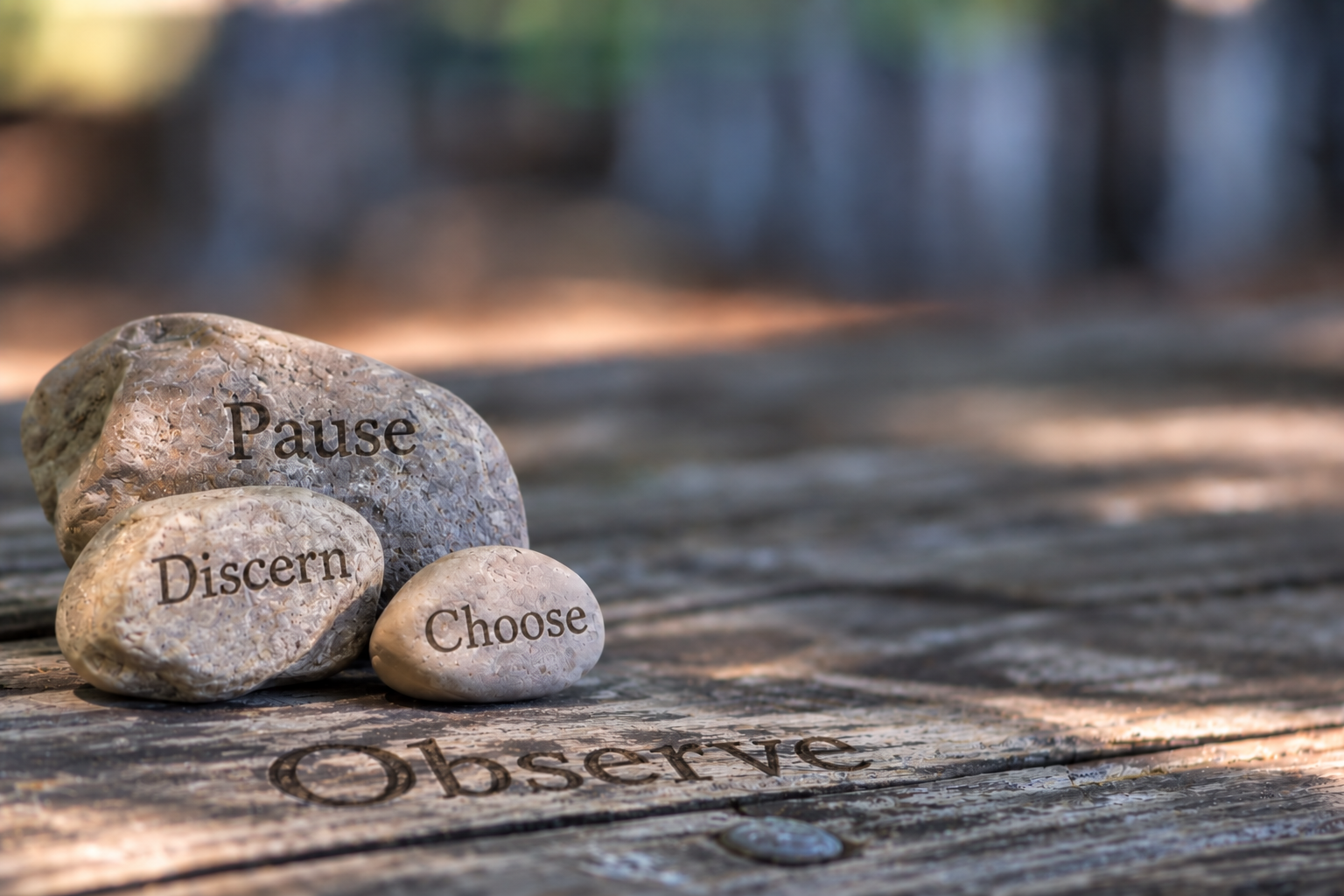 Observe written on weathered wood beside three stones marked Pause, Discern, and Choose