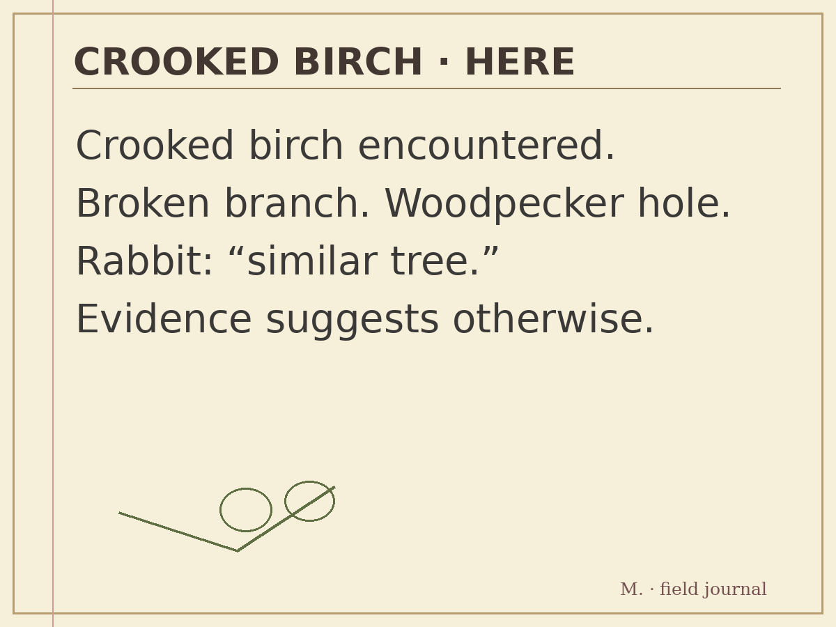 Monty's precise field document: birch